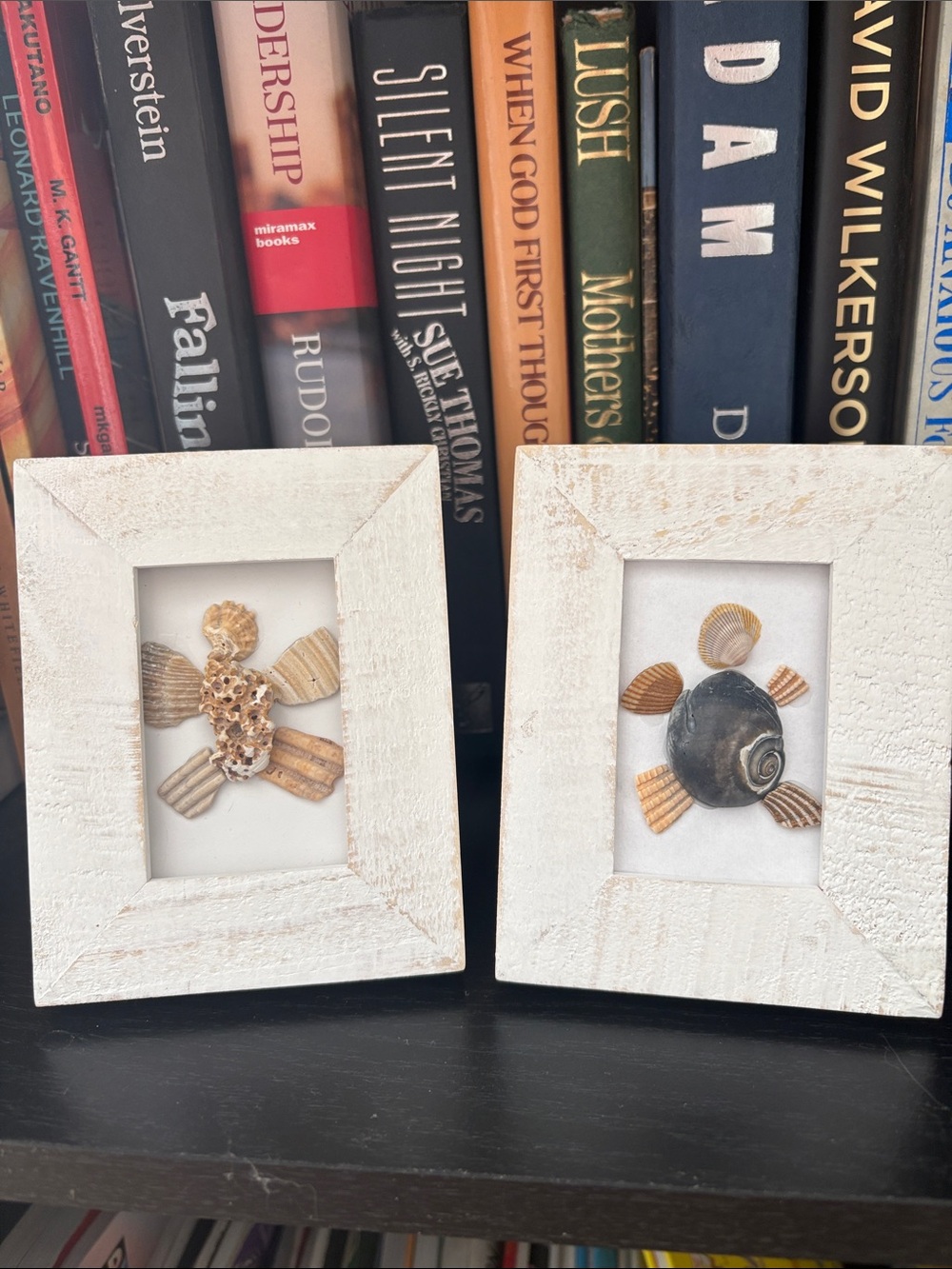Set of Two Turtle designs made from natural shells in white frames.